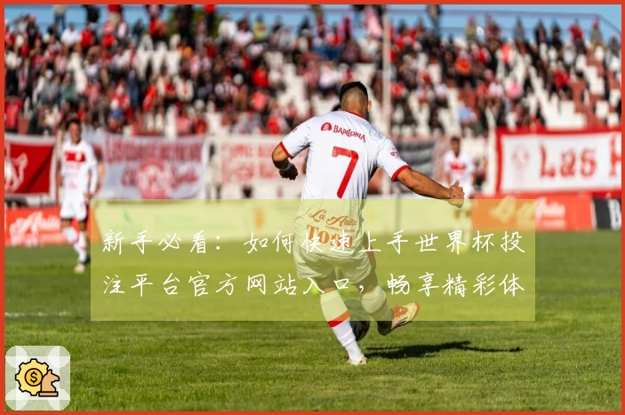 新手必看：如何快速上手世界杯投注平台官方网站入口，畅享精彩体育直播体验