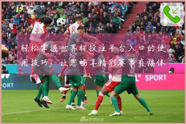 轻松掌握世界杯投注平台入口的使用技巧，让您畅享精彩赛事直播体验