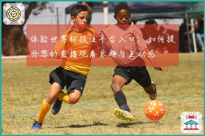 体验世界杯投注平台入口：如何提升您的直播观看乐趣与互动感