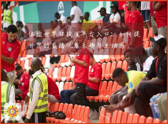 体验世界杯投注平台入口：如何提升您的直播观看乐趣与互动感
