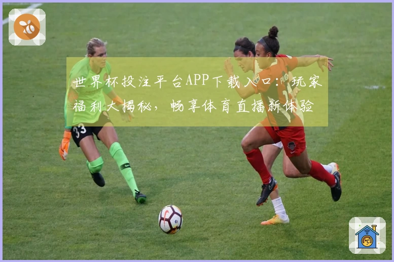 世界杯投注平台APP下载入口：玩家福利大揭秘，畅享体育直播新体验