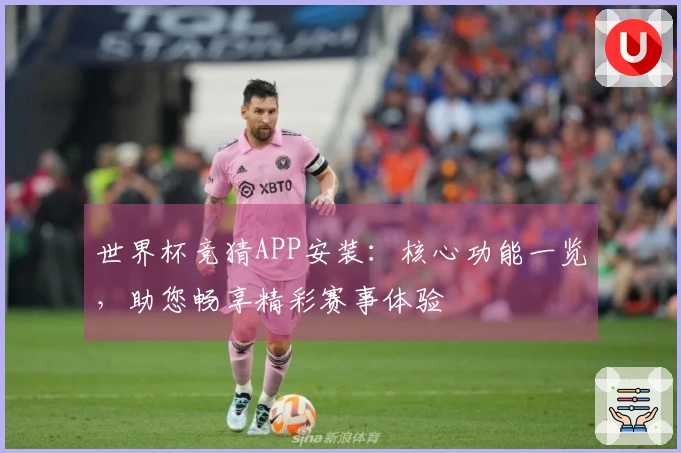 世界杯竞猜APP安装：核心功能一览，助您畅享精彩赛事体验