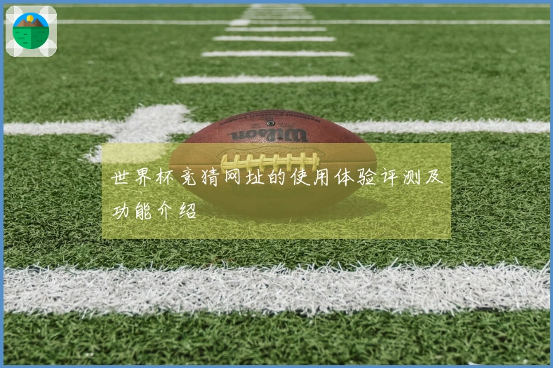 世界杯竞猜网址的使用体验评测及功能介绍