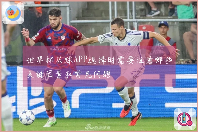 世界杯买球APP选择时需要注意哪些关键因素和常见问题