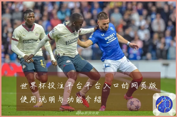 世界杯投注平台平台入口的网页版使用说明与功能介绍