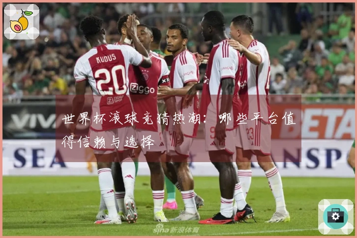 世界杯滚球竞猜热潮：哪些平台值得信赖与选择