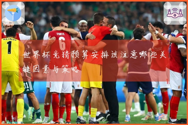 世界杯竞猜预算安排该注意哪些关键因素与策略