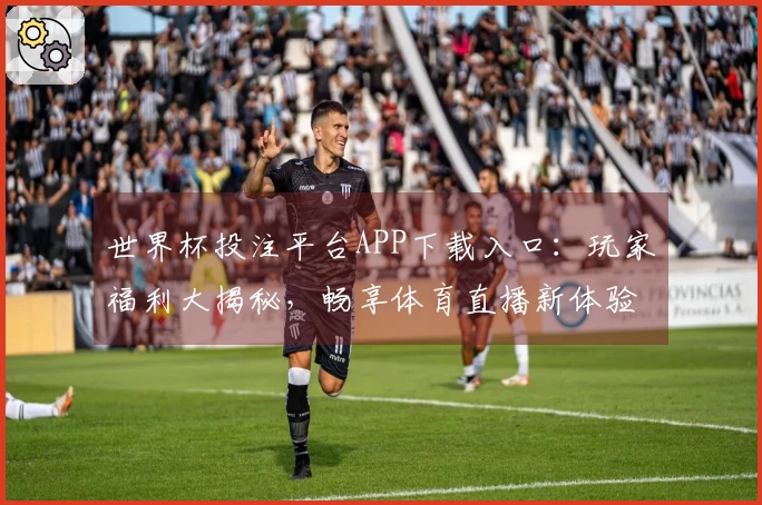 世界杯投注平台APP下载入口：玩家福利大揭秘，畅享体育直播新体验