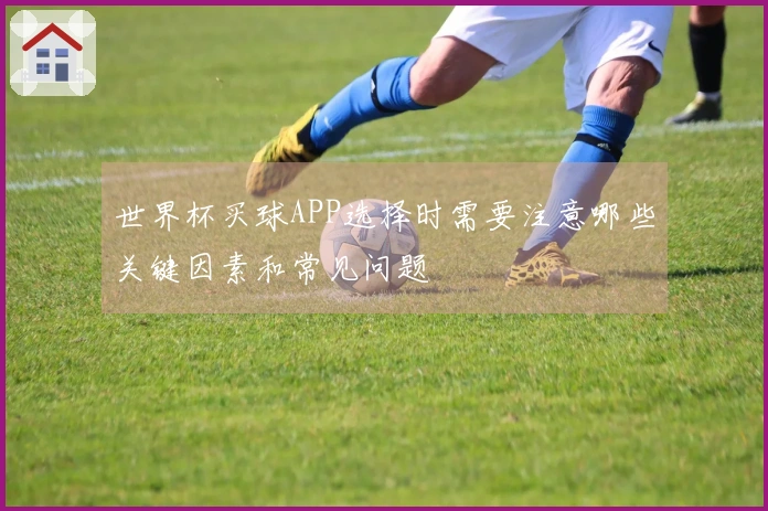 世界杯买球APP选择时需要注意哪些关键因素和常见问题