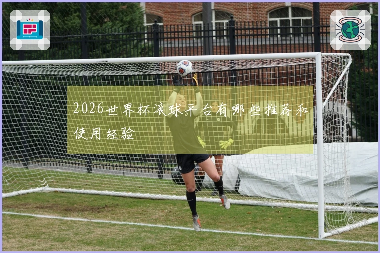 2026世界杯滚球平台有哪些推荐和使用经验